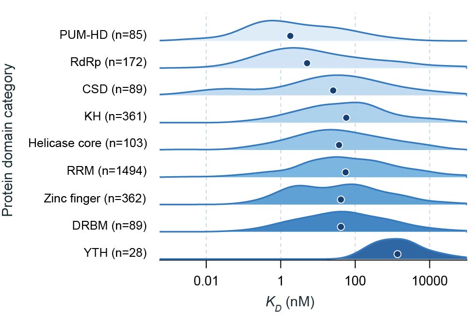 Protein domain affinity distribution